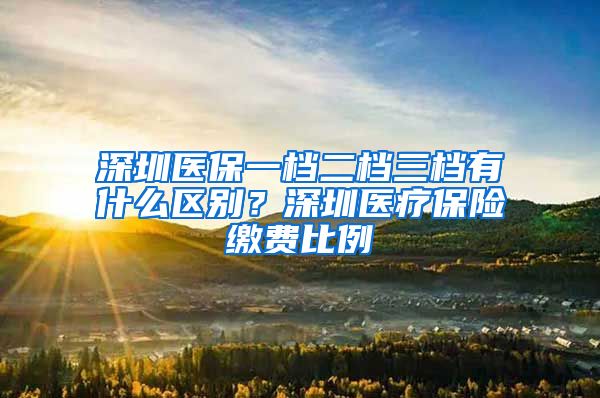 深圳医保一档二档三档有什么区别？深圳医疗保险缴费比例