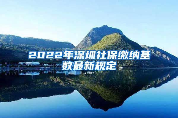 2022年深圳社保缴纳基数最新规定