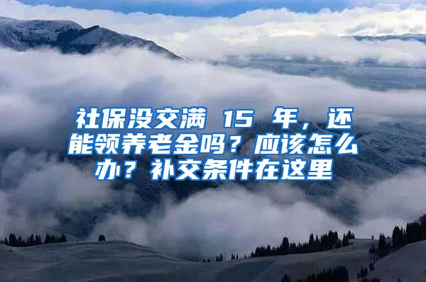 社保没交满 15 年，还能领养老金吗？应该怎么办？补交条件在这里