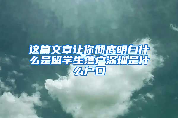 这篇文章让你彻底明白什么是留学生落户深圳是什么户口