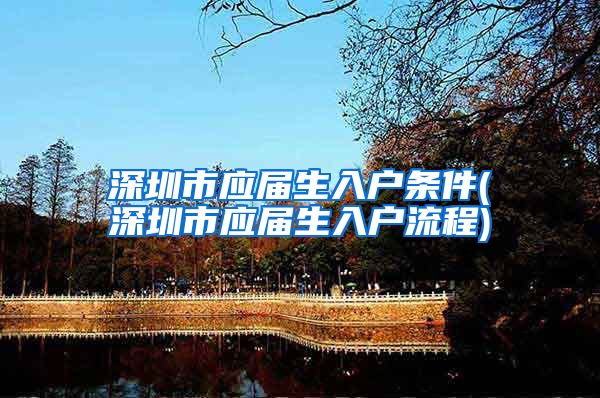 深圳市应届生入户条件(深圳市应届生入户流程)