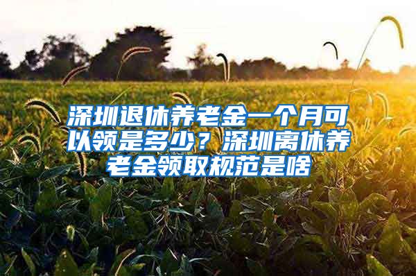 深圳退休养老金一个月可以领是多少？深圳离休养老金领取规范是啥