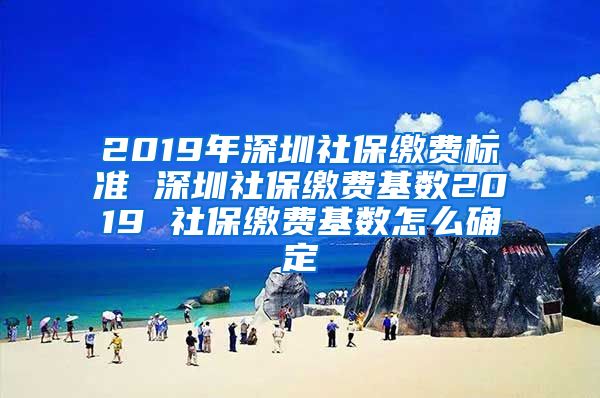 2019年深圳社保缴费标准 深圳社保缴费基数2019 社保缴费基数怎么确定