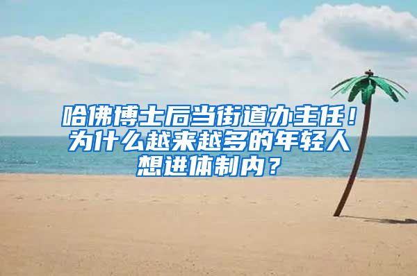 哈佛博士后当街道办主任！为什么越来越多的年轻人想进体制内？