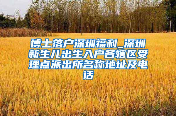 博士落户深圳福利_深圳新生儿出生入户各辖区受理点派出所名称地址及电话