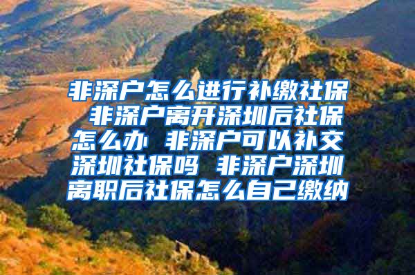 非深户怎么进行补缴社保 非深户离开深圳后社保怎么办 非深户可以补交深圳社保吗 非深户深圳离职后社保怎么自己缴纳