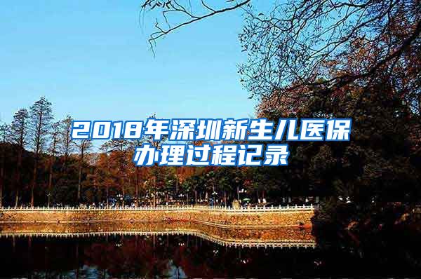 2018年深圳新生儿医保办理过程记录