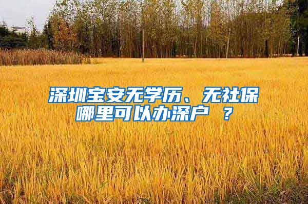 深圳宝安无学历、无社保哪里可以办深户 ？