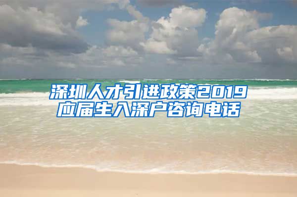 深圳人才引进政策2019应届生入深户咨询电话