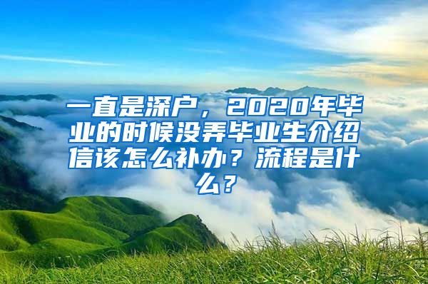 一直是深户，2020年毕业的时候没弄毕业生介绍信该怎么补办？流程是什么？