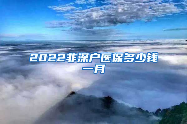 2022非深户医保多少钱一月