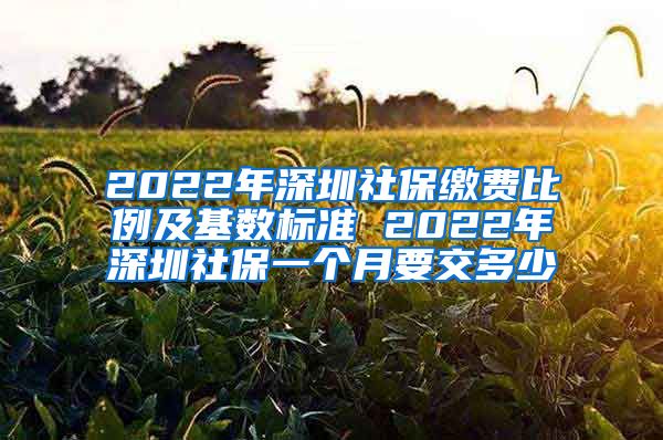 2022年深圳社保缴费比例及基数标准 2022年深圳社保一个月要交多少