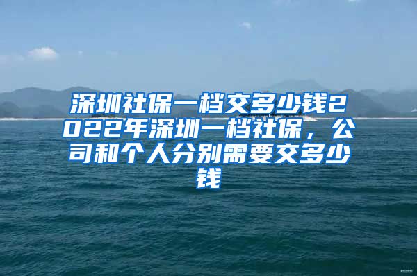 深圳社保一档交多少钱2022年深圳一档社保，公司和个人分别需要交多少钱