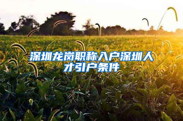 深圳龙岗职称入户深圳人才引户条件