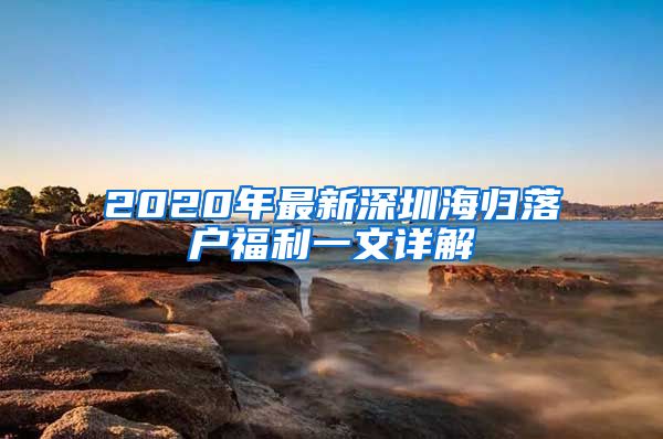 2020年最新深圳海归落户福利一文详解