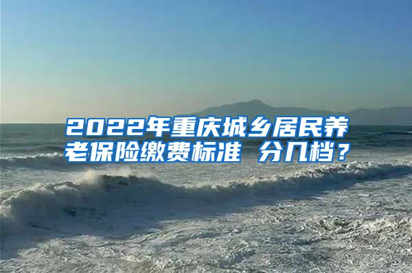 2022年重庆城乡居民养老保险缴费标准 分几档？