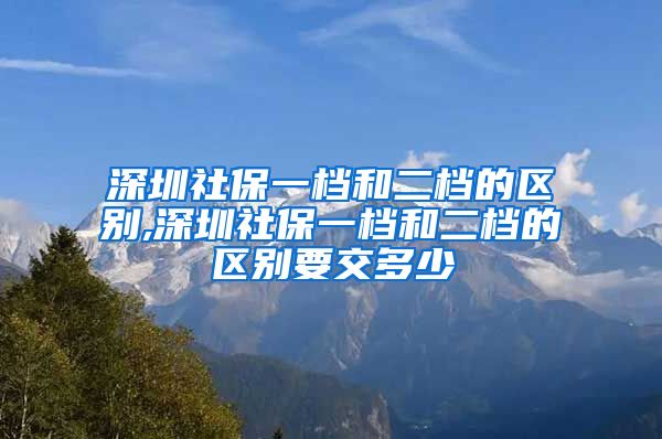 深圳社保一档和二档的区别,深圳社保一档和二档的区别要交多少