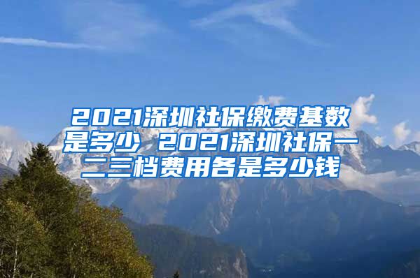 2021深圳社保缴费基数是多少 2021深圳社保一二三档费用各是多少钱