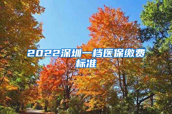 2022深圳一档医保缴费标准