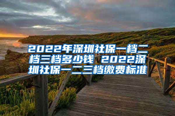 2022年深圳社保一档二档三档多少钱 2022深圳社保一二三档缴费标准