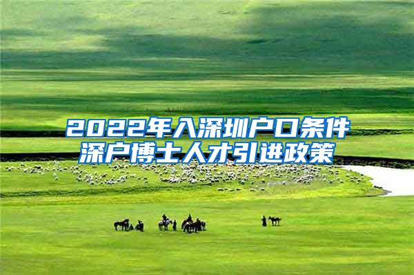 2022年入深圳户口条件深户博士人才引进政策