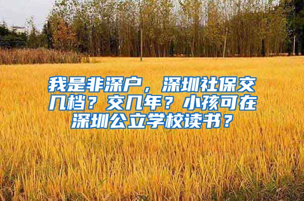 我是非深户，深圳社保交几档？交几年？小孩可在深圳公立学校读书？