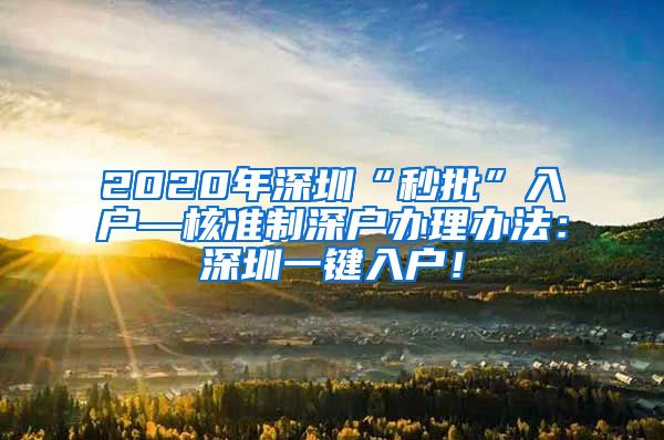 2020年深圳“秒批”入户—核准制深户办理办法：深圳一键入户！