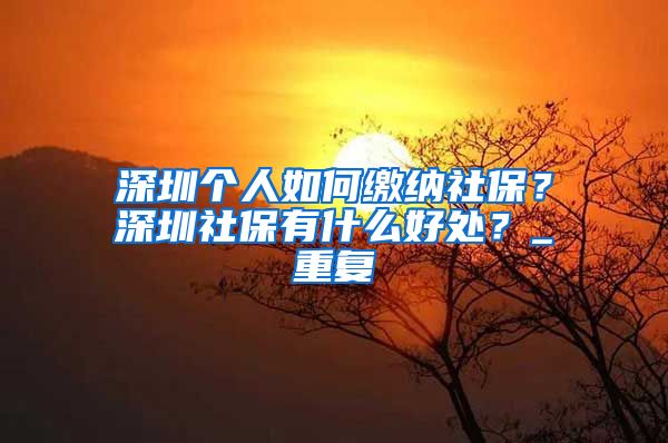 深圳个人如何缴纳社保？深圳社保有什么好处？_重复