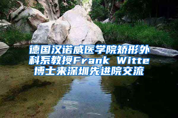 德国汉诺威医学院矫形外科系教授Frank Witte博士来深圳先进院交流