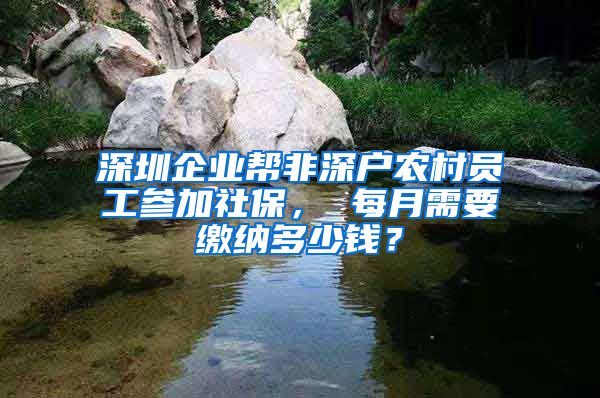 深圳企业帮非深户农村员工参加社保， 每月需要缴纳多少钱？