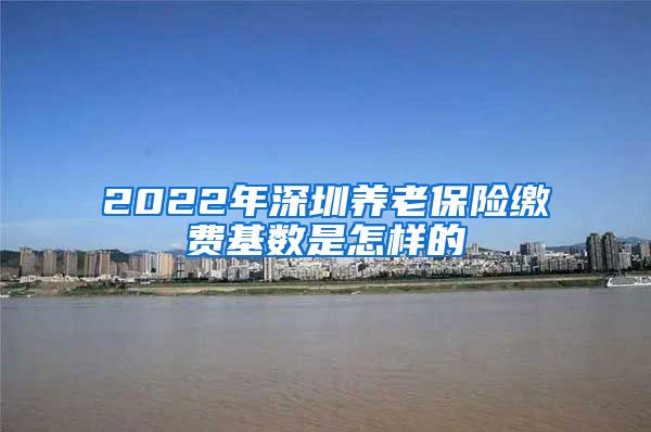 2022年深圳养老保险缴费基数是怎样的