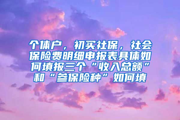 个体户，初买社保，社会保险费明细申报表具体如何填报三个“收入总额”和“参保险种”如何填