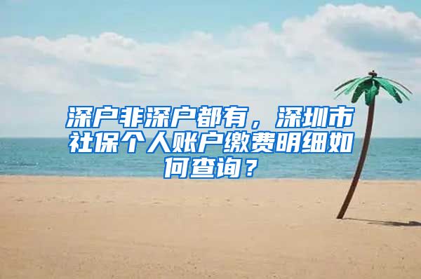 深户非深户都有，深圳市社保个人账户缴费明细如何查询？