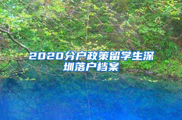 2020分户政策留学生深圳落户档案