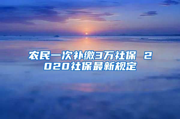 农民一次补缴3万社保 2020社保最新规定