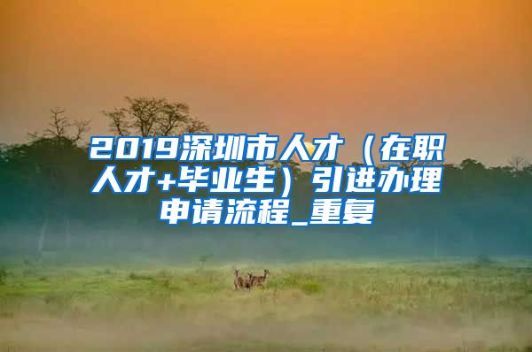 2019深圳市人才（在职人才+毕业生）引进办理申请流程_重复