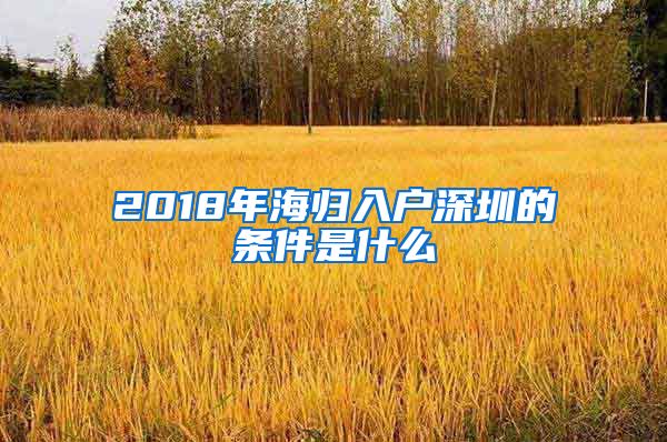 2018年海归入户深圳的条件是什么