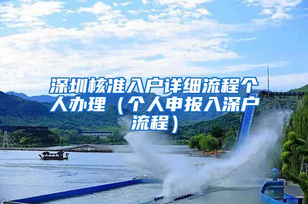 深圳核准入户详细流程个人办理（个人申报入深户流程）