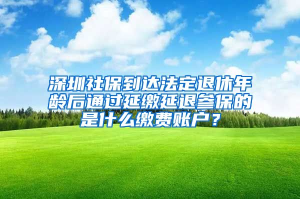 深圳社保到达法定退休年龄后通过延缴延退参保的是什么缴费账户？