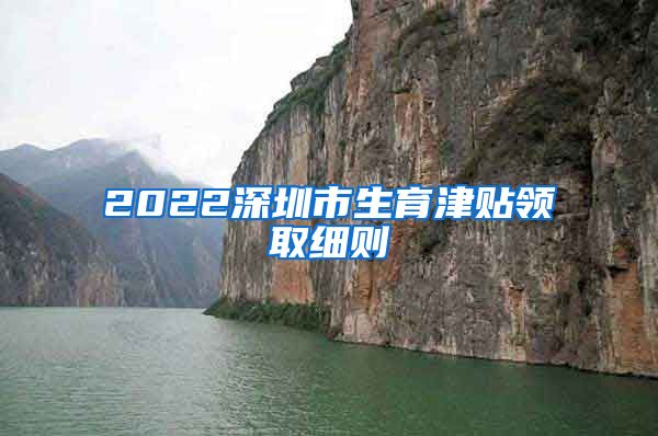 2022深圳市生育津贴领取细则