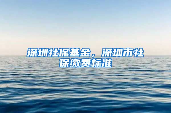 深圳社保基金，深圳市社保缴费标准