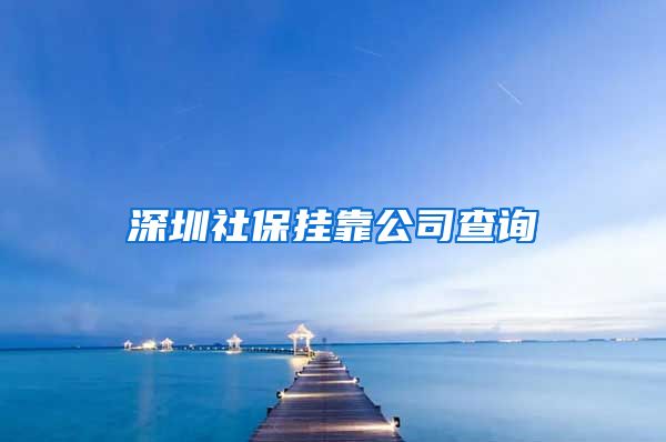 深圳社保挂靠公司查询