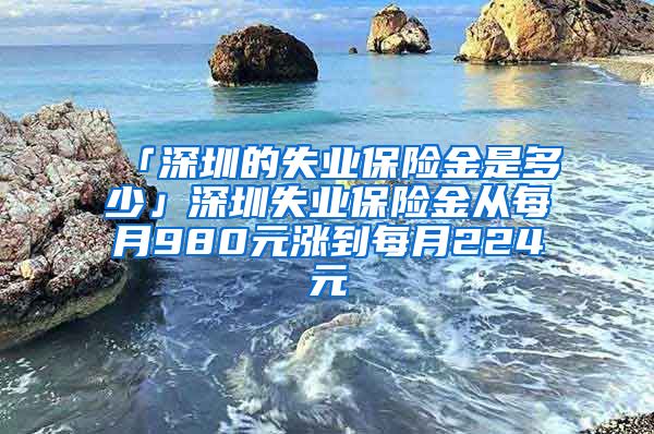 「深圳的失业保险金是多少」深圳失业保险金从每月980元涨到每月224元