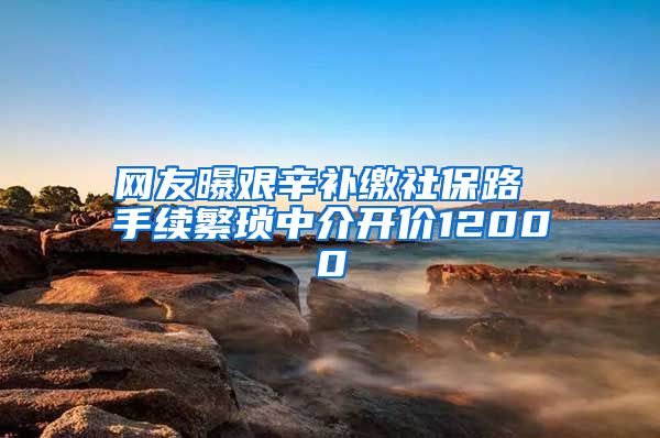 网友曝艰辛补缴社保路 手续繁琐中介开价12000