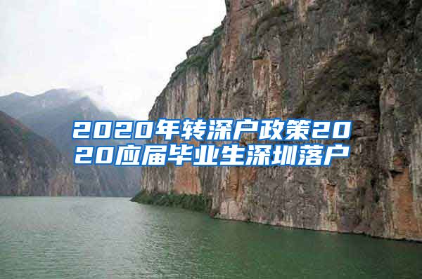 2020年转深户政策2020应届毕业生深圳落户