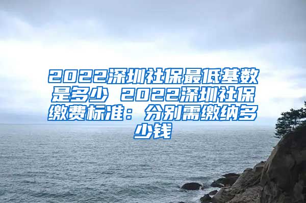 2022深圳社保最低基数是多少 2022深圳社保缴费标准：分别需缴纳多少钱