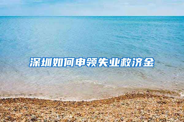 深圳如何申领失业救济金