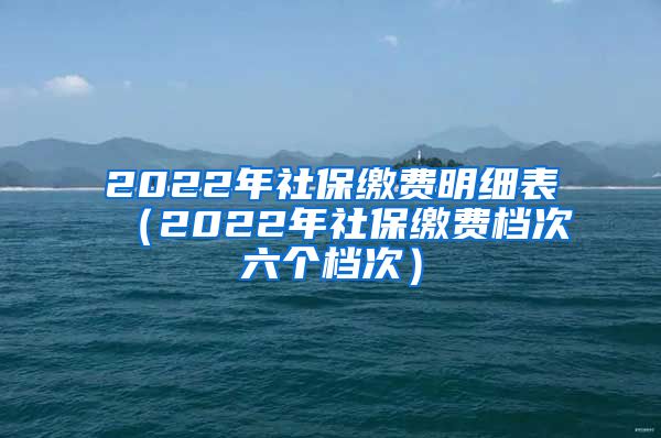 2022年社保缴费明细表（2022年社保缴费档次六个档次）