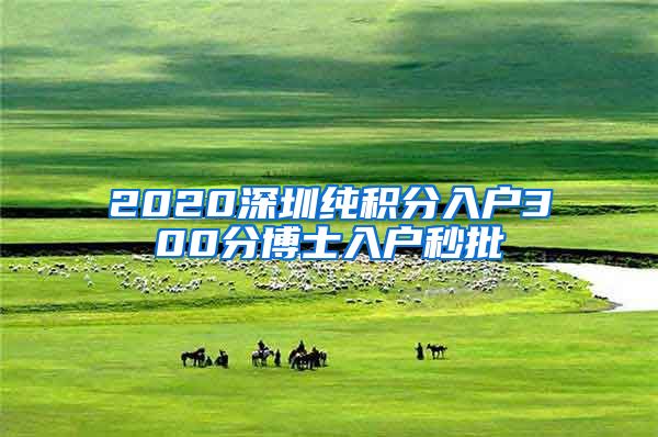 2020深圳纯积分入户300分博士入户秒批