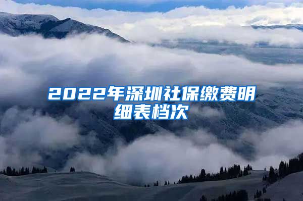 2022年深圳社保缴费明细表档次